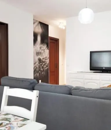 Centrico Apartamento En Jerez